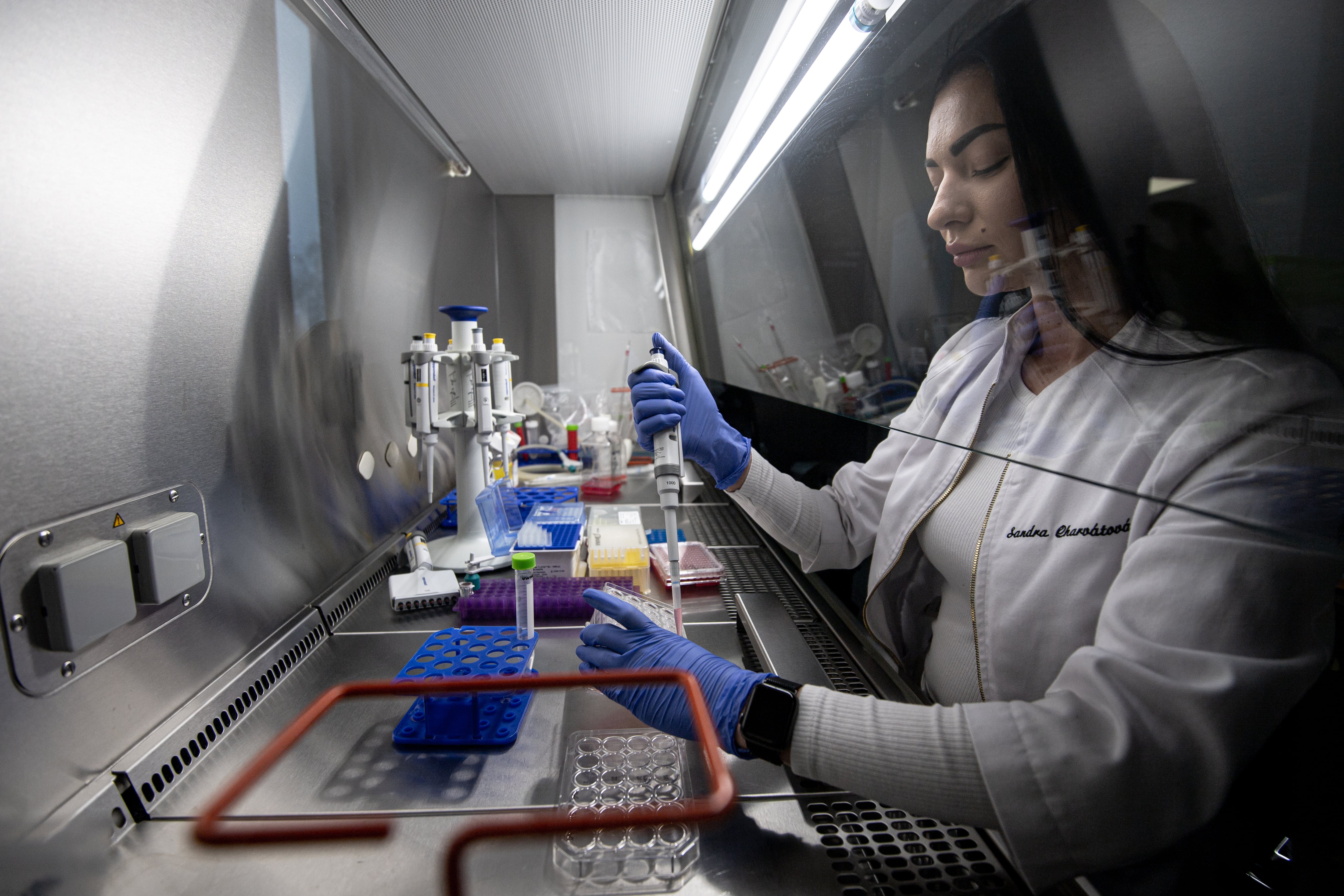 Los ‘apellidos’ del tumor revelan la clave del tratamiento en la oncología de precisión