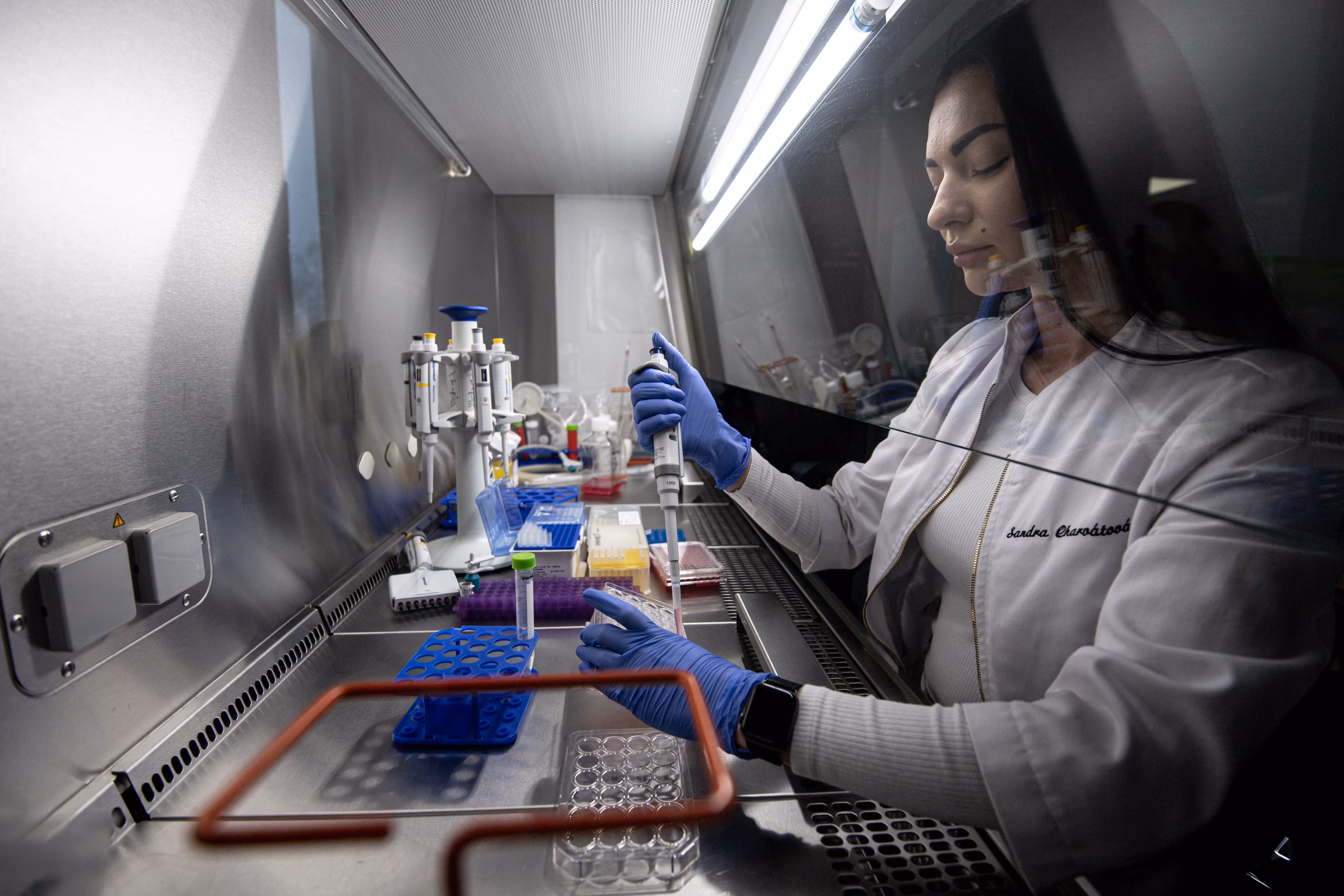 Los ‘apellidos’ del tumor revelan la clave del tratamiento en la oncología de precisión